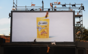 Dreamies Billboard Campaign